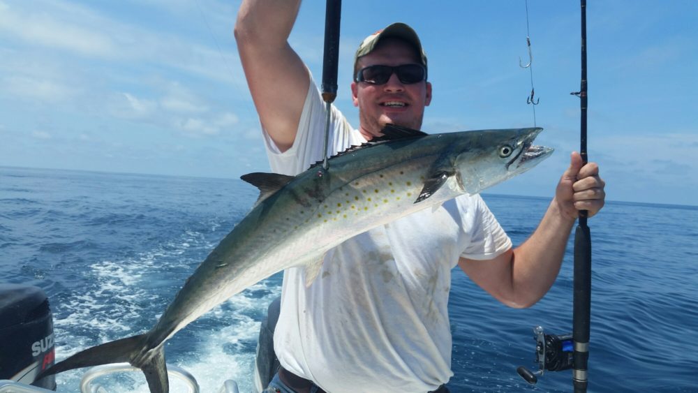 20150718_122437.jpg image