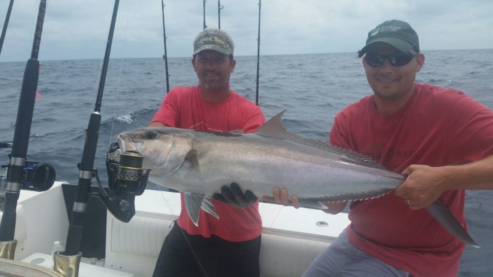 20150724_122250.jpg image
