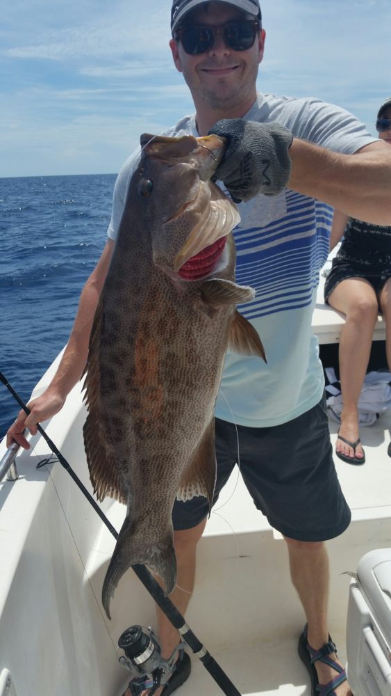 20150816_125230.jpg image