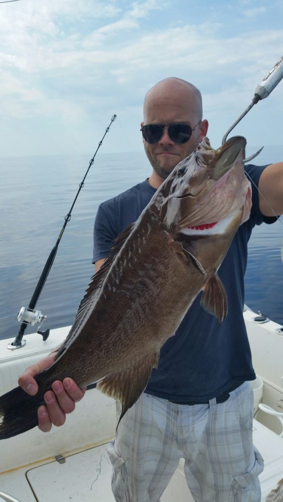 20150824_100727.jpg image